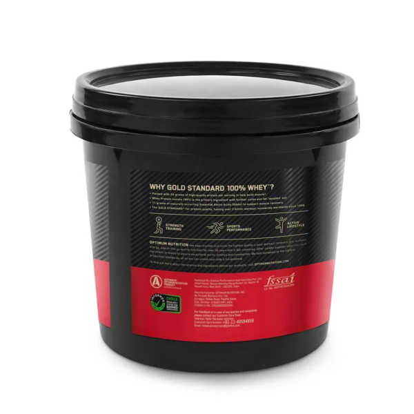 ON Gold Standard 100% Whey Protein Powder | Double Rich Chocolate | 4 kg