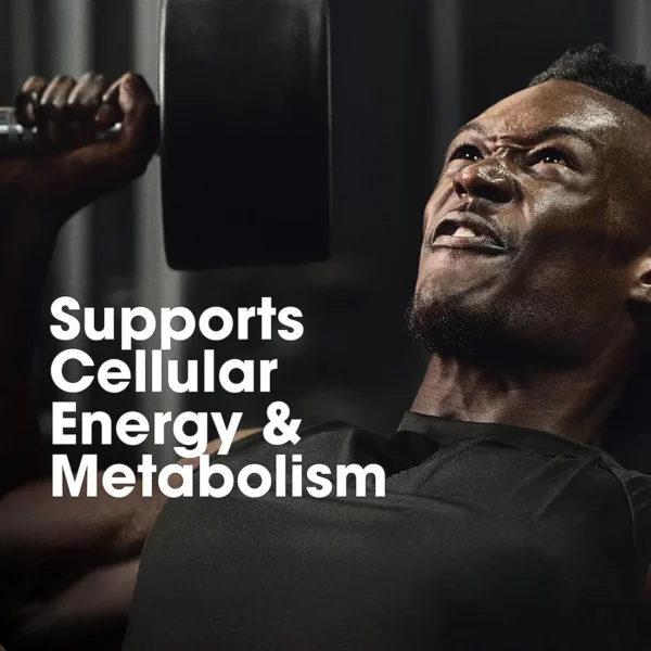 ON Multivitamin for MEN- 60 Tablets, 26 Vitamins & Minerals, Amino Acids & Anti-Oxidants