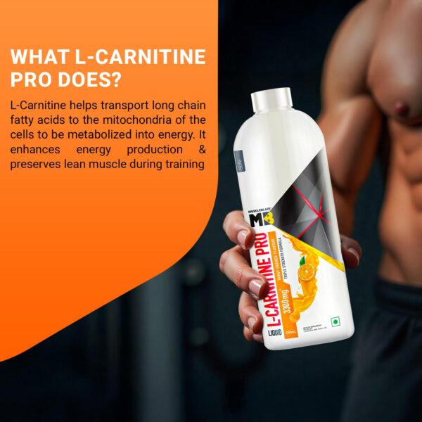MuscleBlaze Liquid L-Carnitine PRO (Tangy Orange, 450ml) | 3300mg L- Carnitine |Triple Strength Formula
