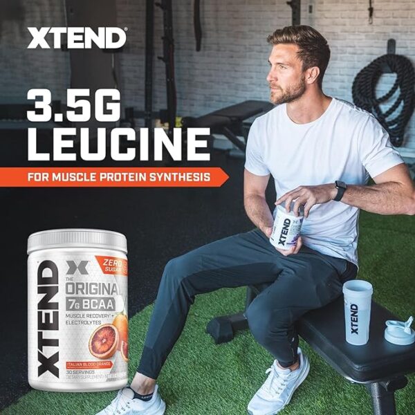 Scivation Xtend Original Bcaa Powder (Italian Blood Orange) - Sugar Free Workout Muscle Recovery Drink With 7G Bcaa,, Amino Acid Supplement With L Glutamine & Electrolytes - 426 Gms (30 Servings)